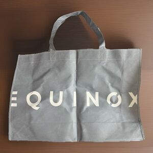 Equinox Fitness Reusable Large Tote Bag / Carrying Bag